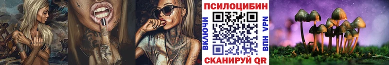 купить наркотик Челябинск Псилоцибиновые грибы Magic Shrooms